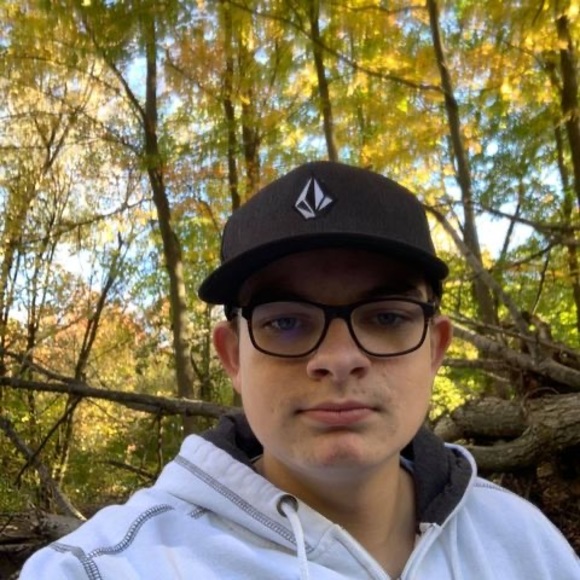 Meet your Posher, William - Picture 1 of 1